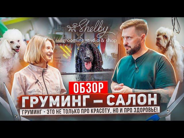 SPA для собак, именитые грумеры и премиальная косметика... | Груминг-салон SHELBY г.Москва