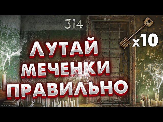 Ты Лутаешь Меченные Комнаты Неправильно  10 Забегов в Таможенную Меченку