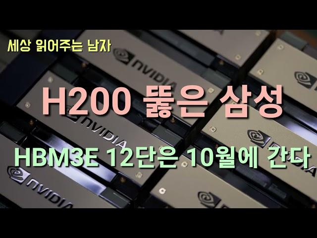 H20이 아닌 H200입니다. 삼성이 주력 엔비다아 GPU를 뚫었다는 소식입니다. 10월엔 AMD에 HBM3E 12단까지 납품이 가능할 겁니다.