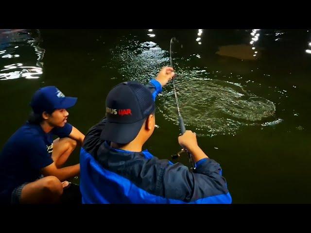 HIBURAN MALAM MANCING HAPPY, Galatama Lele Marlin MBT Ciawi - Bogor