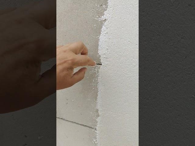 Нанести минеральную декоративную штукатурку Baumit Classico Special на газобетон по советам Спадар