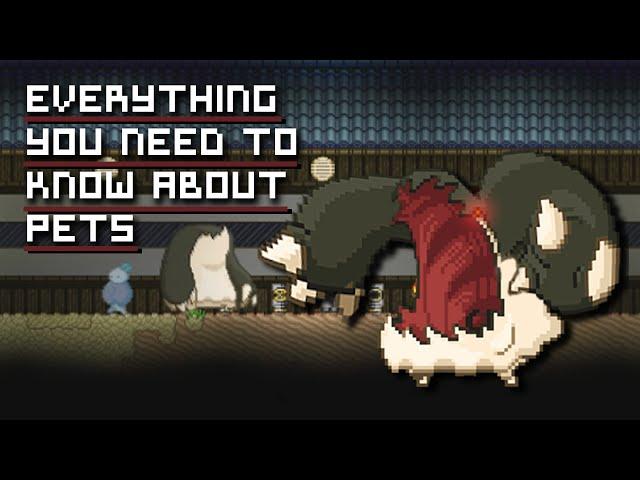 Starbound Tips | Everything you need to know about Pets