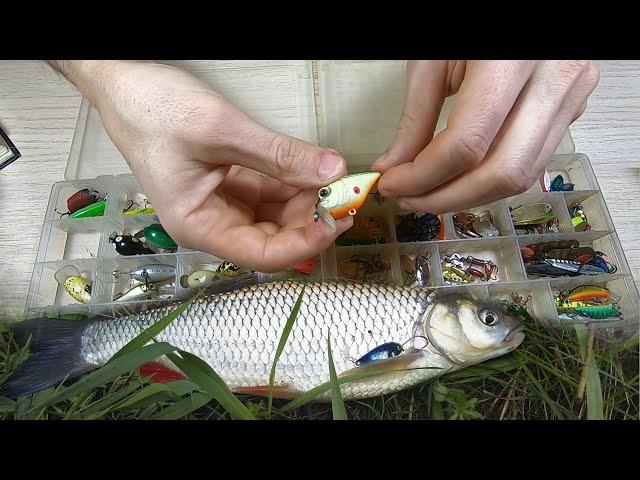 Top of my lures for catching Chub! Wobblers, turntables... Fishing