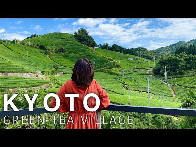 KYOTO Uji green tea village "WAZUKA" Japan Travel Vlog