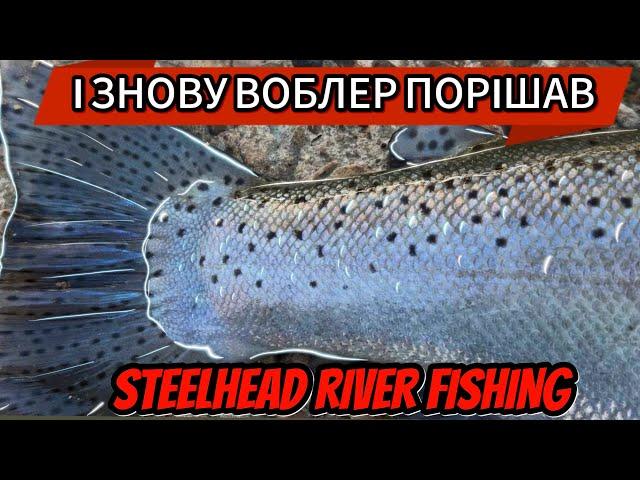 РИБА повна ікри! Steelhead fishing on the Erie tributaries! Риболовля на СТІЛХЕДА із спінінгом!