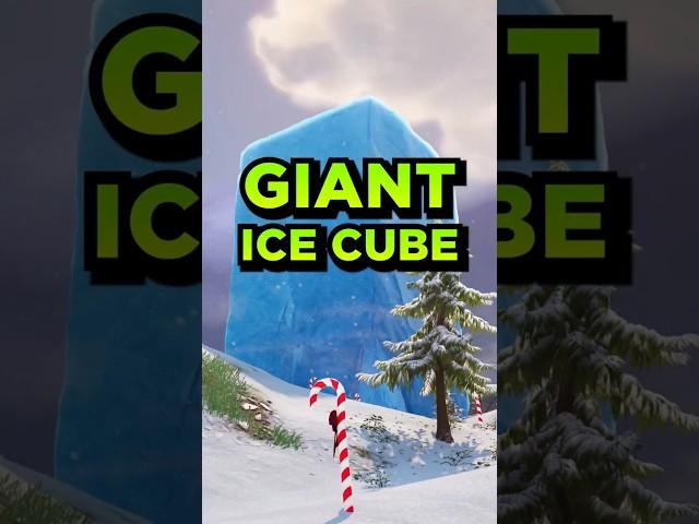 WHAT'S INSIDE this MYSTERIOUS GIANT ICE CUBE?? 