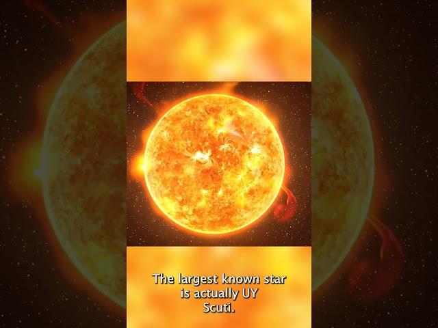 The Sun is NOT the largest star! #shorts #space #facts #didyouknow  #spacefacts