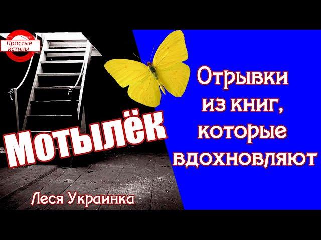 Отрывки Из Книг, Которые Вдохновляют  «Мотылёк» - Леся Украинка. Озвучила – Валеева Анна