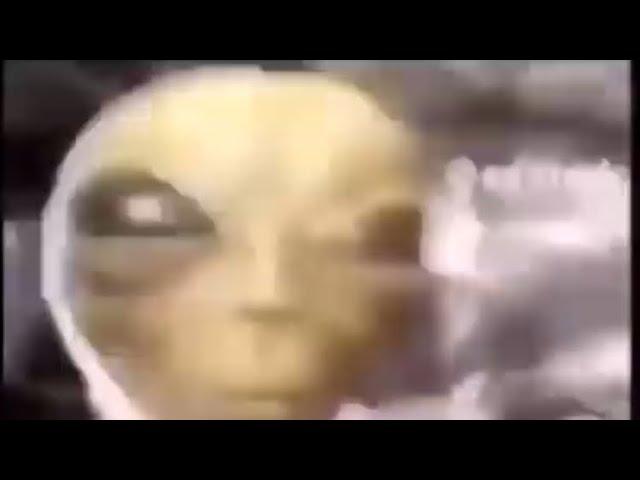 Funny Drunk Alien Meme Compilation | Tiktok Compilation | #1 | Thanos Papi