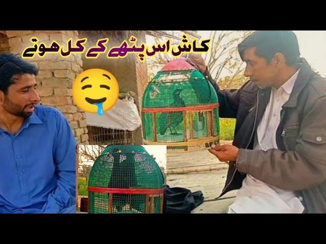 kash Is Pathe k Kil Hote  Village life  #vlog Siyal Aijaz Vlogs