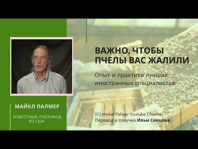 Почему важно, чтобы пчелы вас жалили? (Майкл Палмер, США)