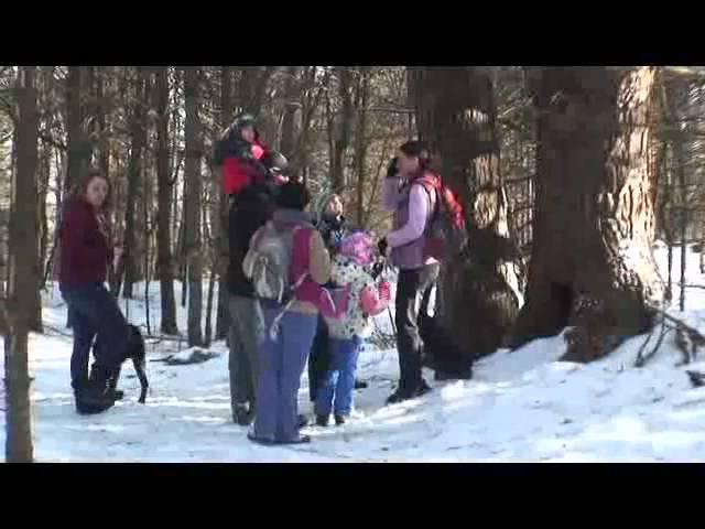 NH ALIVE!  Letter Boxing at Ramblin Vewe Farm in Gilford, NH
