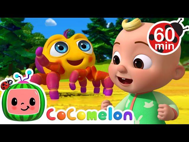 Itsy Bitsy Spider ️ |  CoComelon  | Preschool Learning | Moonbug Tiny TV