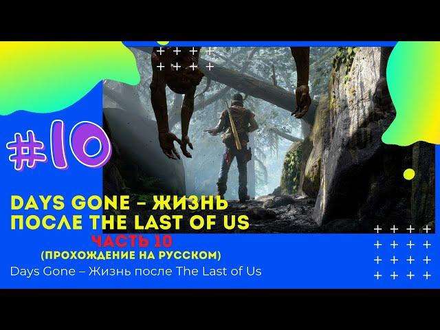 Посетить памятный камень Сары ▶ Days Gone – Жизнь после   Часть 10 (Прохождение на Русском)