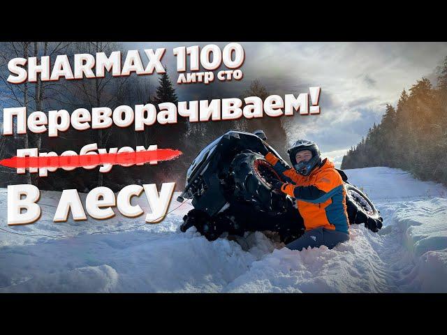 ЛИТР СТО в офф-роаде. Тест-драйв SHARMAX FORCE 1100 в лесу!