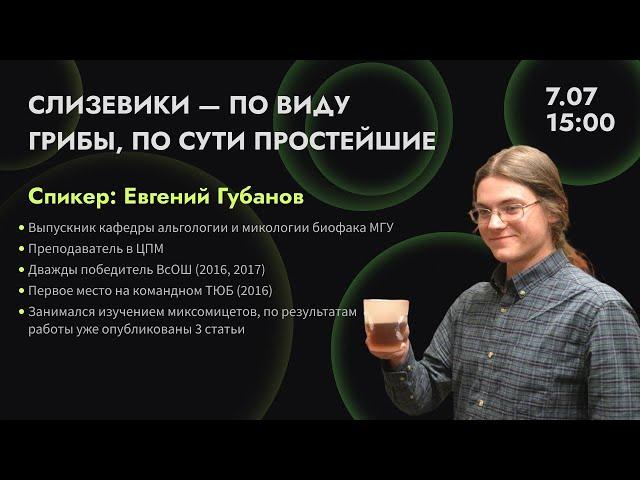 Слизевики - по виду грибы, по сути простейшие | Евгений Губанов