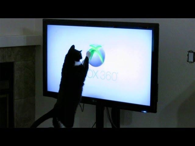 Cat Attacks XBOX 360 Logo