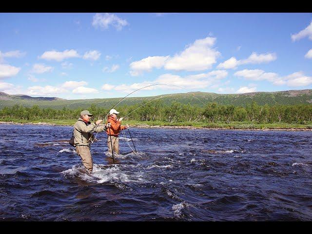 Ловля шведского хариуса на нахлыст - Fly fishing