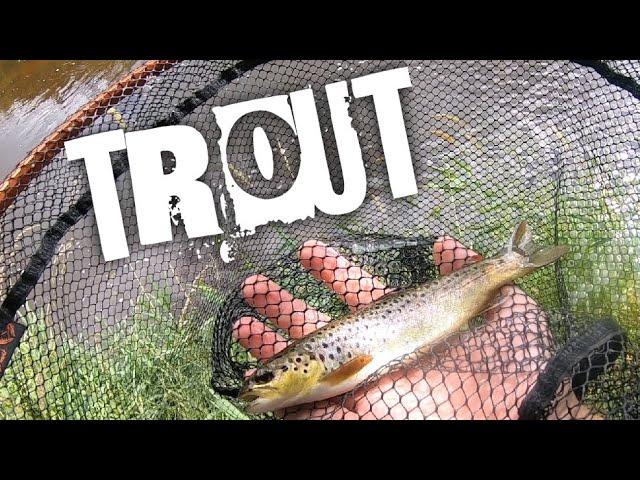 Quick session fishing for Trout & Update on my new boat!