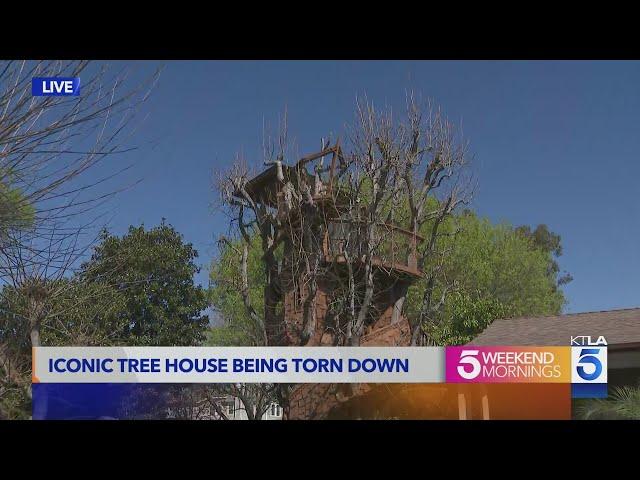 Demolition of The Simpsons-inspired treehouse in front of L.A. home begins 