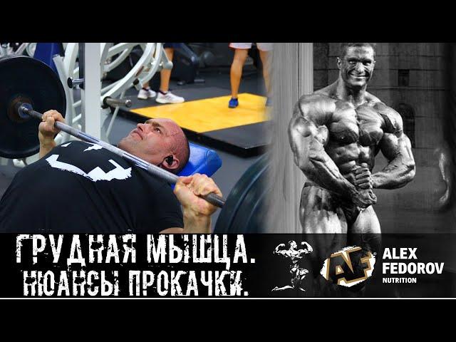 Грудная мышца. Нюансы прокачки \ Chest muscle. The nuances of pumping