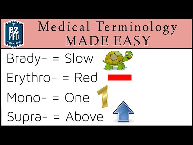 Medical and Nursing Terminology MADE EASY: Prefixes [Flashcard Tables]