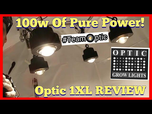 OPTIC 1 XL 100w COB LED Grow Light Review - CREE CXB3590 - Meanwell Driver