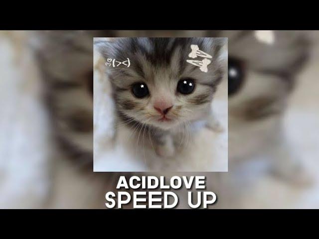 COLDCOLD (feat. LIZER) - ACIDLOVE (SPEED UP)