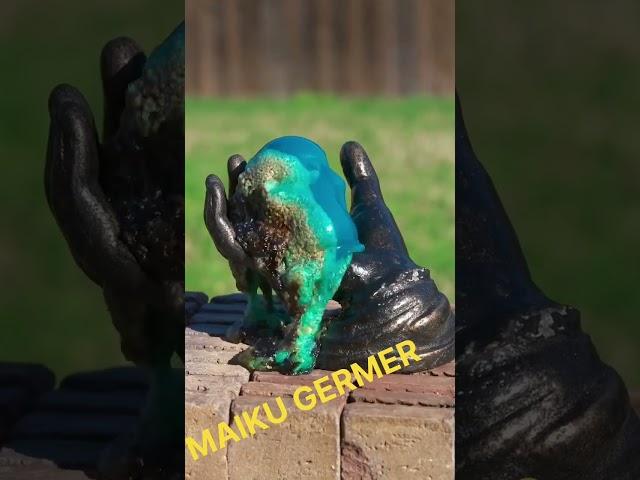 Maiku germer #shout #funny #