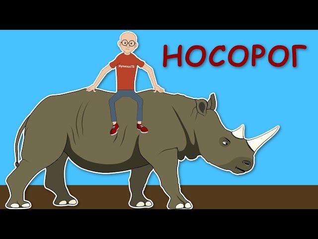 Познавательный мультфильм о носороге