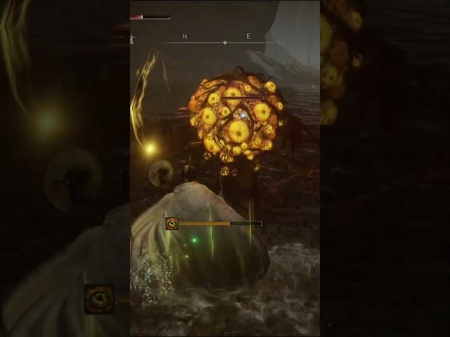 How to beat a frenzy on Abyssal Woods | Elden Ring Shadow of the Erdtree