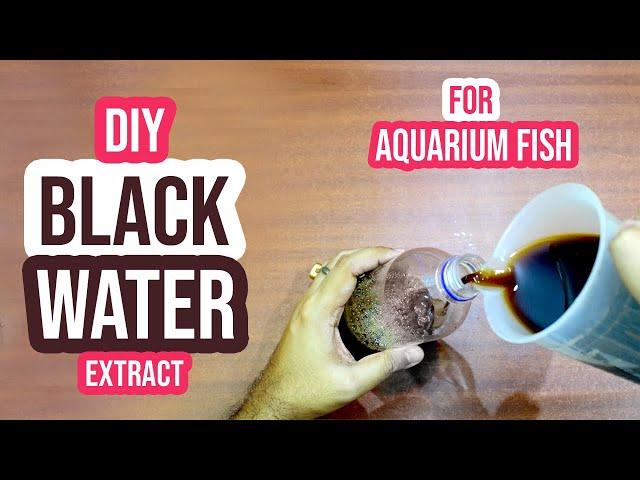 How to Make Black Water for Aquarium Fish: DIY Blackwater Extract!