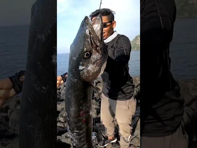 rock fishing barracuda #handmadelure #angler #rockfishing #rockshore #gopro #shorejigging #shorts