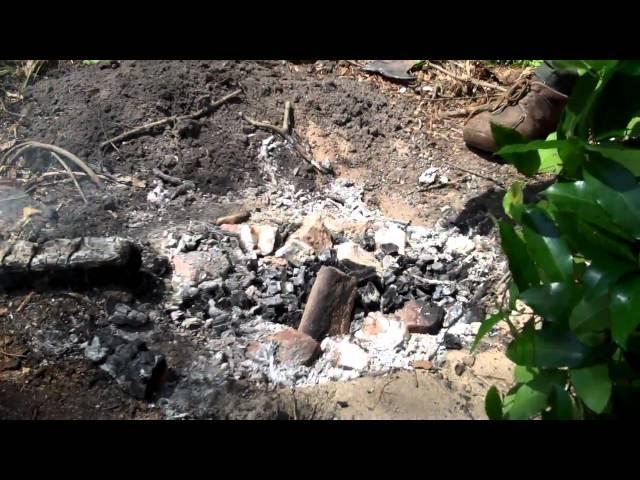 Cooking fish in a ground oven Part 1