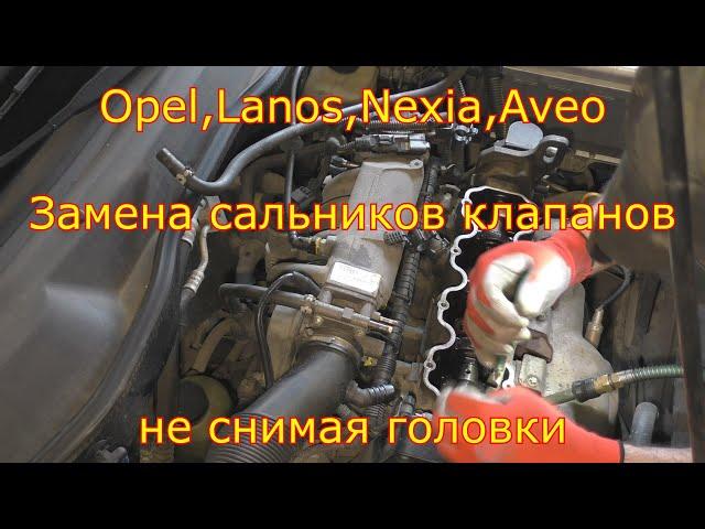 Замена сальников клапанов без снятия ГБЦ,Opel,Lanos,Aveo,Nexia