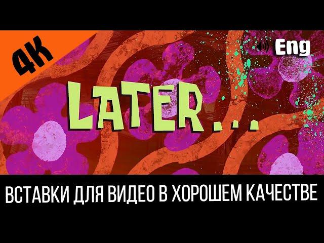 #5 Later / Позже | SpongeBob Timecard | Вставка для видео | Insert for video