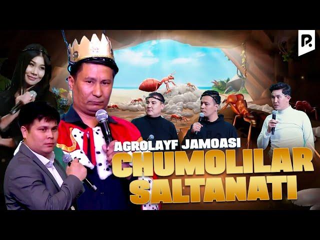 QVZ 2023 | Agrolayf jamoasi - Chumolilar saltanati