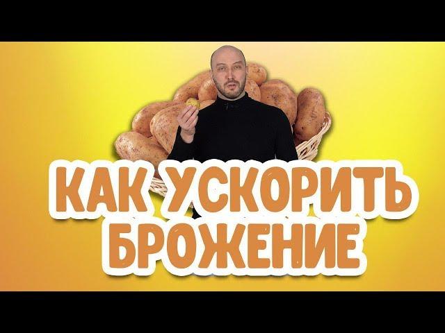 Лайфхак: как ускорить процесс брожения браги для самогона?