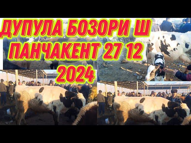 ДУПУЛА БОЗОРИ Ш Панчакент 27 12.2024