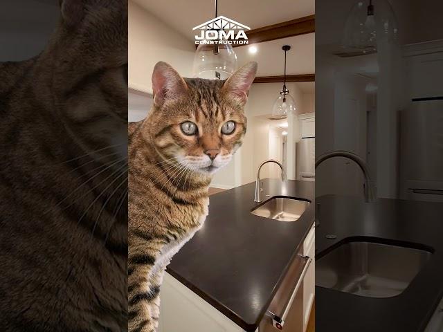 The Purrfect Kitchen - New Remodel by JOMA Construction - Athens Georgia - The Mac & Scott Show