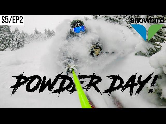 2024 POWDER DAY at SNOWBIRD!