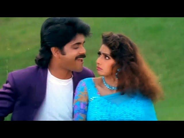 Andama Anduma Video Song - Nagarjuna, Sridevi Evergreen Superhit Song | Govinda Govinda Movie Songs