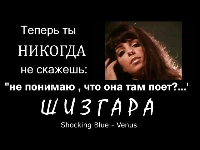 ШИЗГАРА  о чем песня Shocking Blue  Venus