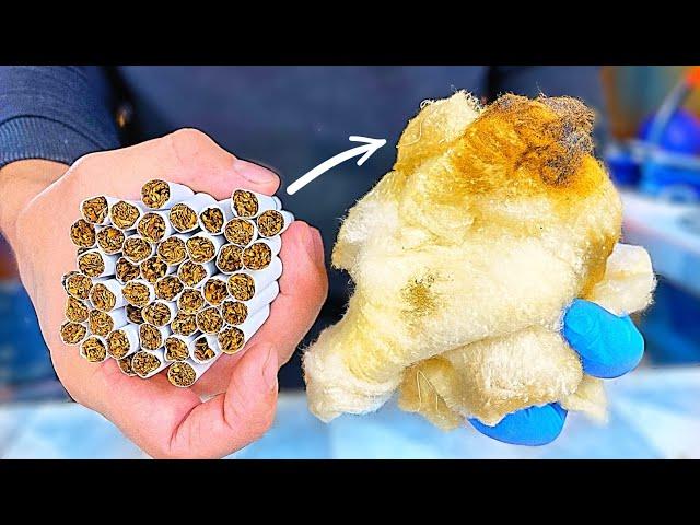 MOST EXPENSIVE vs. CHEAP CIGARETTES | WHAT WILL HAPPEN TO THE LUNGS?