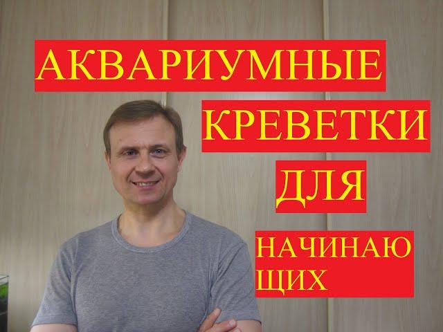 АКВАРИУМИСТИКА. АКВАРИУМНЫЕ КРЕВЕТКИ ДЛЯ НАЧИНАЮЩИХ.