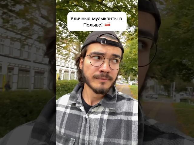 Идешь по Польше, а там… #польша #бобер