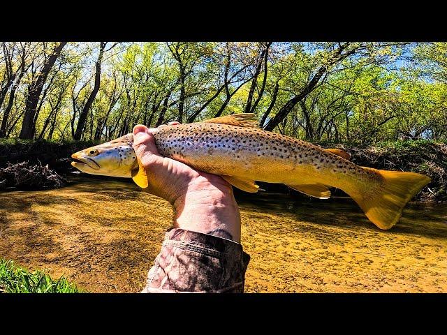 Fishing Against the Odds - A Journey Worth Every Step