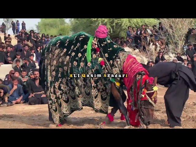 Zuljanha 10 Muharram 2024 Pakki Shah mardan Mianwali || 10 Muharram 2024 Pakki