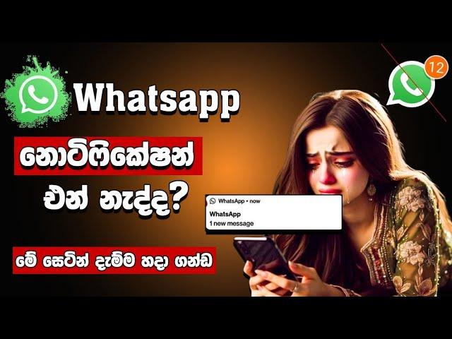 whatsapp notification not showing on home screen sinhala | whatsapp notification off sinhala