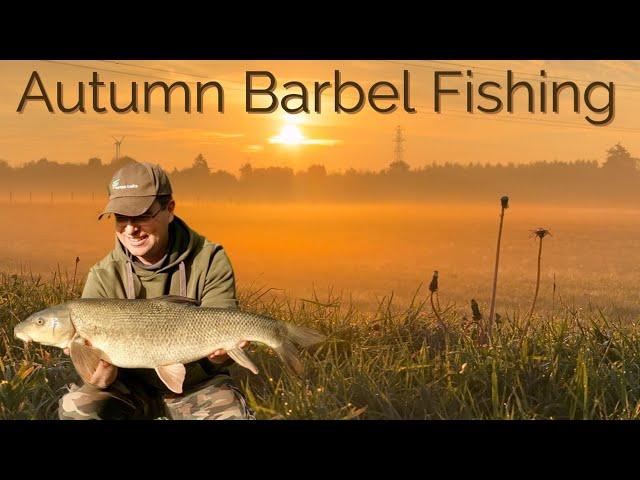 River Severn AUTUMN Barbel Fishing on a RISING River!